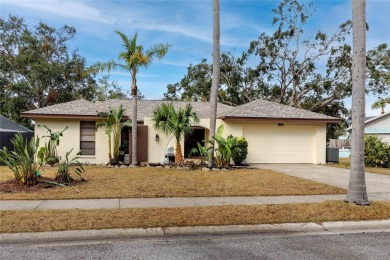 Beach Home Sale Pending in Palm Harbor, Florida