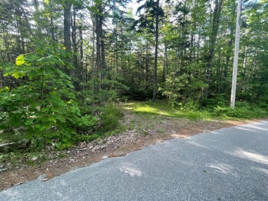 Beach Lot For Sale in Bristol, Maine