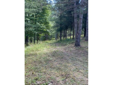 Beach Acreage For Sale in Charlevoix, Michigan