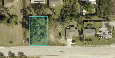 Beach Lot For Sale in Lehigh Acres, Florida