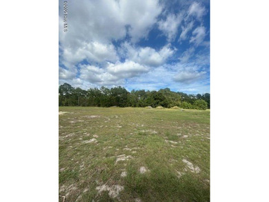Beach Lot For Sale in Holly Ridge, North Carolina