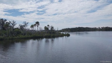 Beach Lot For Sale in Homosassa, Florida