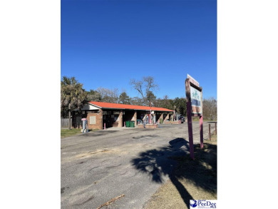 Beach Commercial For Sale in Georgetown, South Carolina