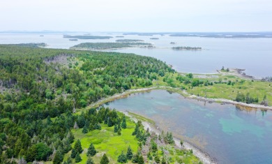 Beach Acreage Off Market in Isle Au Haut, Maine