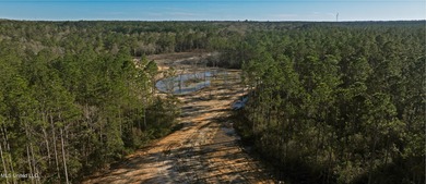 Acreage For Sale in Pass Christian image photo picture