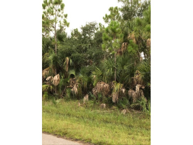 Beach Lot For Sale in Port Charlotte, Florida