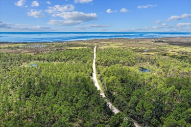 Beach Acreage For Sale in Perry, Florida