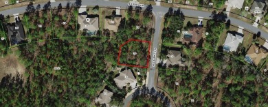 Beach Lot For Sale in Homosassa, Florida