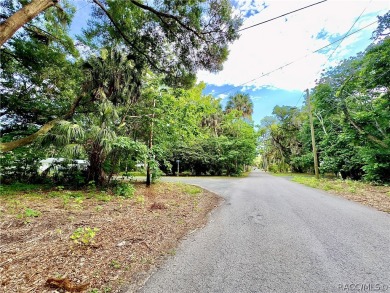 Beach Lot For Sale in Inglis, Florida