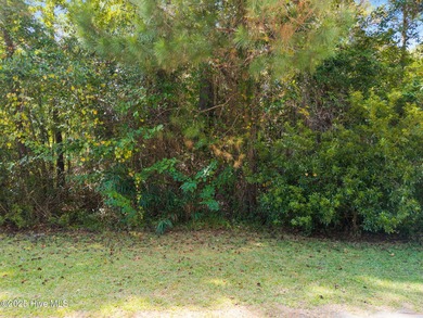 Beach Lot For Sale in Supply, North Carolina