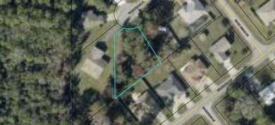 Beach Lot For Sale in Palm Coast, Florida