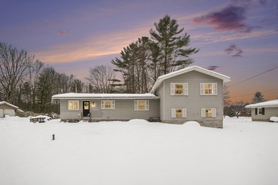 Beach Home For Sale in Spring Lake, Michigan