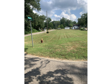 Beach Lot For Sale in New Buffalo, Michigan