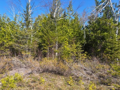 Beach Lot For Sale in Presque Isle, Michigan