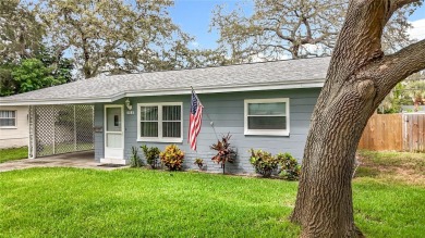 Beach Home For Sale in St. Petersburg, Florida