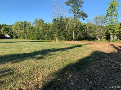 Beach Lot Sale Pending in Angola, New York