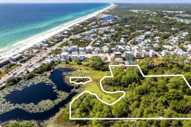 Beach Acreage For Sale in Santa Rosa Beach, Florida