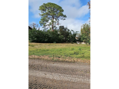 Beach Lot For Sale in Tarpon Springs, Florida