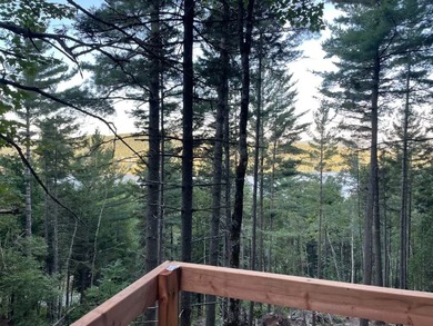 Lot For Sale in Mont-Tremblant image photo picture