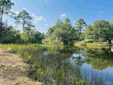 Beach Lot For Sale in Milton, Florida