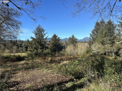 Beach Lot For Sale in Nehalem, Oregon