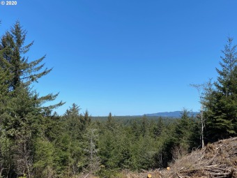 Beach Lot Off Market in Port Orford, Oregon