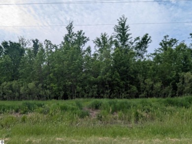 Beach Acreage For Sale in Au Gres, Michigan