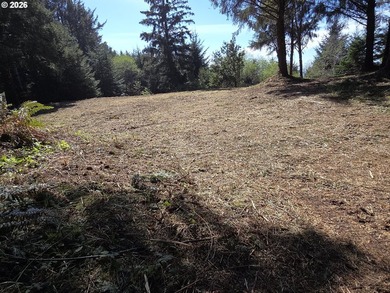 Beach Lot For Sale in Gold Beach, Oregon