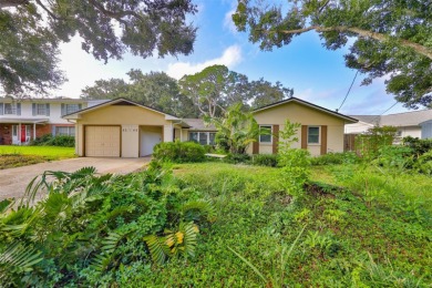 Beach Home Sale Pending in Tampa, Florida