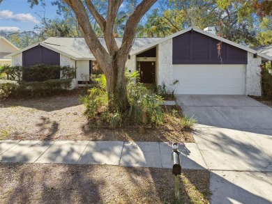 Beach Home For Sale in Safety Harbor, Florida