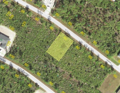 Beach Lot For Sale in Port Charlotte, Florida