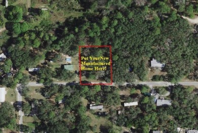 Beach Lot For Sale in Homosassa, Florida