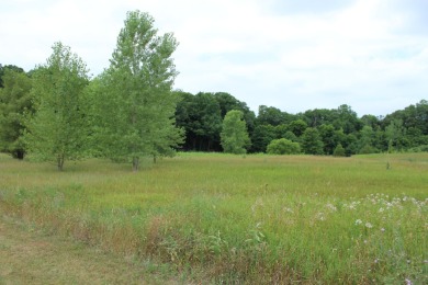 Beach Lot Off Market in Benton Harbor, Michigan