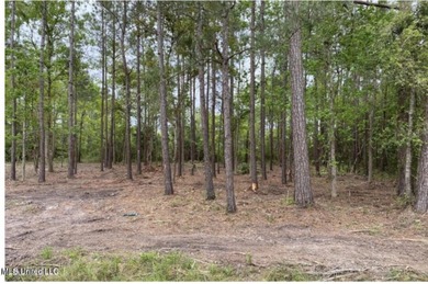 Beach Lot For Sale in Pass Christian, Mississippi