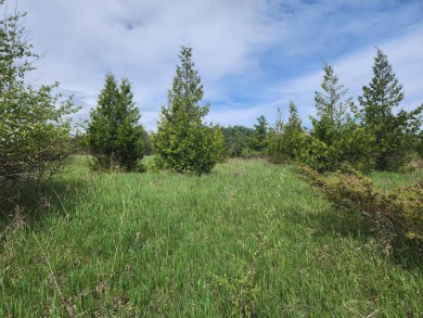 Beach Acreage Active Under Contract in Cheboygan, Michigan