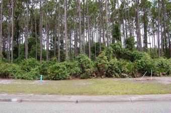 Beach Lot Off Market in Carabelle, Florida