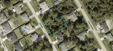Beach Lot Sale Pending in Palm Coast, Florida