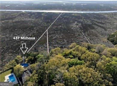 Beach Home For Sale in Saint Simons, Georgia