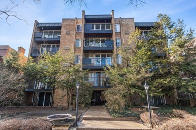 Beach Condo For Sale in Evanston, Illinois