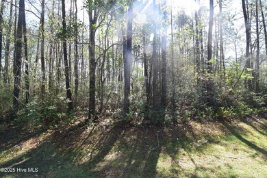 Beach Lot For Sale in New Bern, North Carolina