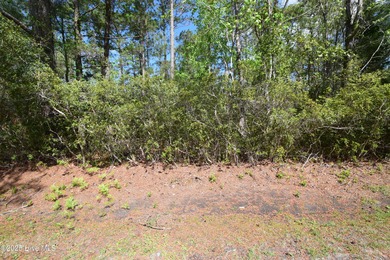 Beach Lot For Sale in New Bern, North Carolina