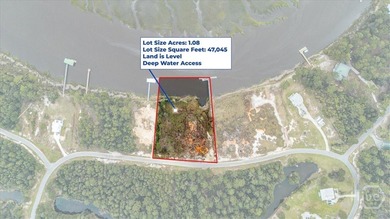 Beach Lot For Sale in Midway, Georgia