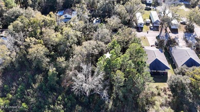 Beach Commercial For Sale in Bay Saint Louis, Mississippi