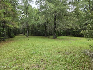 Beach Acreage For Sale in Beaufort, North Carolina