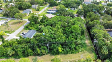 Beach Lot For Sale in New Smyrna Beach, Florida