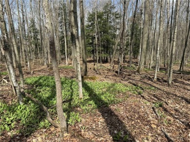 Beach Acreage For Sale in Grove, New York