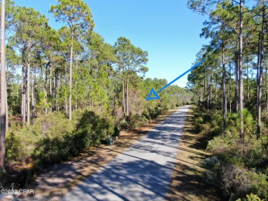 Beach Lot Off Market in Panama  City  Beach, Florida