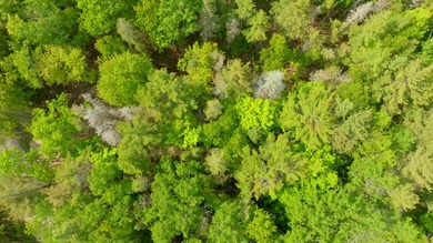 Beach Lot Sale Pending in Beaver Island, Michigan