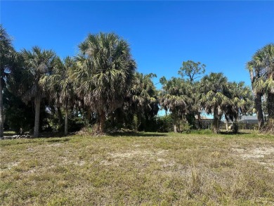 Beach Lot For Sale in Rotonda West, Florida