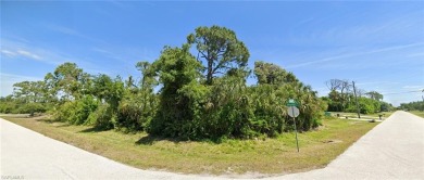 Beach Lot For Sale in Port Charlotte, Florida